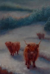 Hochlandrinder, 2018